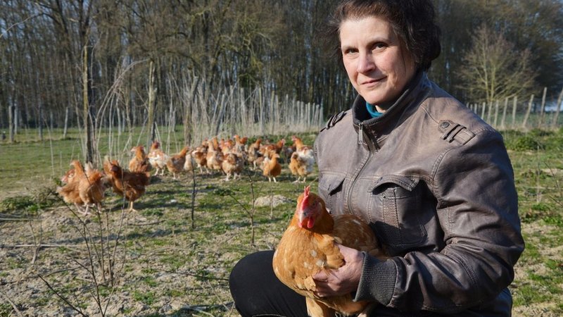 Ferme des Bedins Perreux