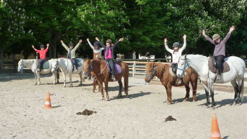 Poneys des Quatre Saisons